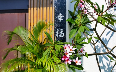 聖都Villa照片： IMG_0147