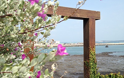 夏灩民宿照片： 5_amber 042 (2)