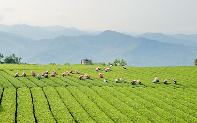 淵明居山庄照片： 環境