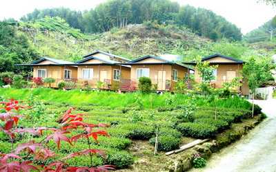 嘉義 頂石棹雲海翻動 雲霧裡的阿里山公路 嘉義市景 月光星空琉璃夜 輕旅行
