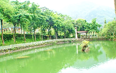 湘泉木屋民宿照片： 環境