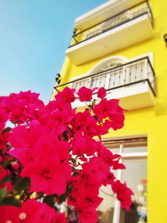 浪花旅店照片： 外觀
