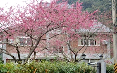 左岸LED庭園照片： 民宿外觀