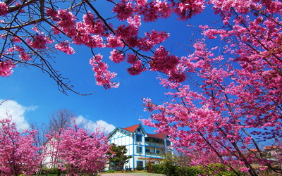 寞內花園山莊照片： 環境