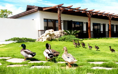 盤古拉渡假花園民宿照片： 環境