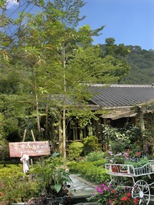 南庄民宿「栗田庄」環境照片