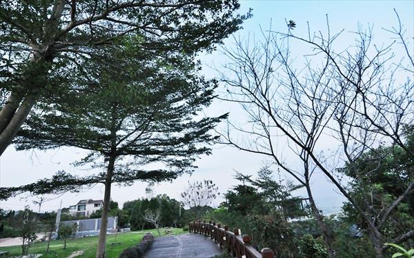 森之王子民宿照片： 民宿照片
