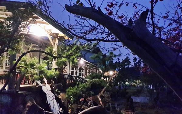 逍遙居民宿照片： 景觀