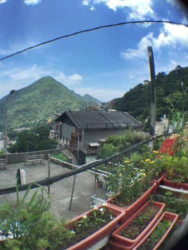 林園村莊民宿照片： 景觀