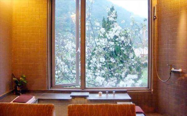 陽明山中國麗緻大飯店照片： 197121_1210211025007841463