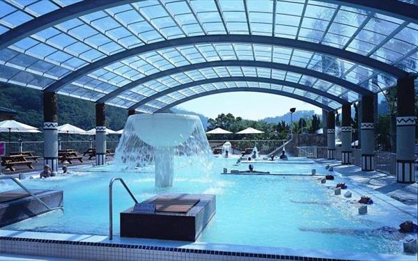 東台溫泉飯店照片： 泳池