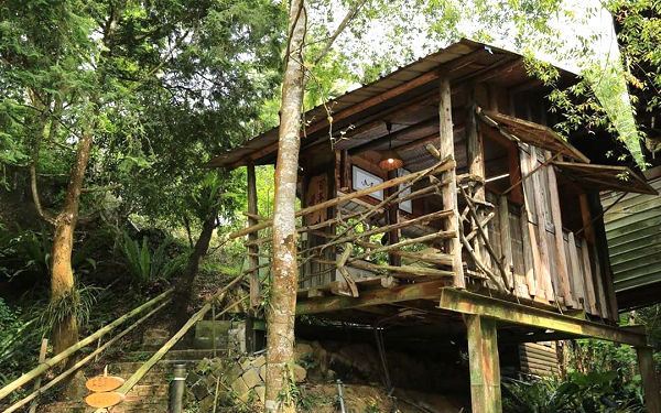 賴坤陽的家照片： 樹屋