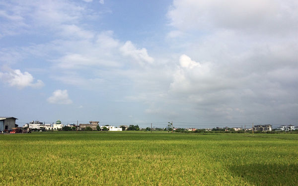 香魚之家照片： 宜蘭民宿香魚之家
