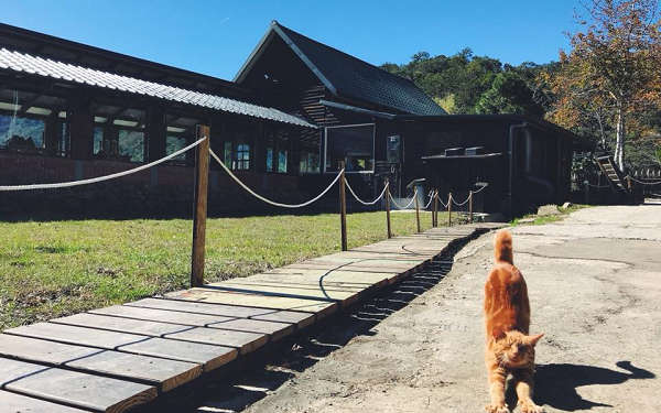 尤蘇拉地‧魯壁民宿照片： 