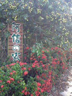 阿信的家照片： 彰化民宿阿信的家