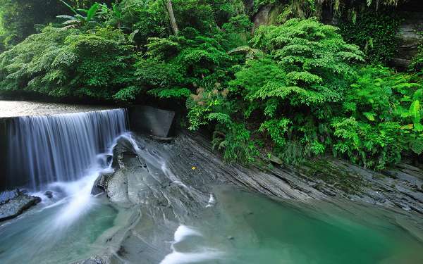 苗栗民宿「岩川民宿」環境照片