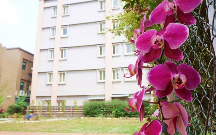 陶花巷弄民宿照片： 陶花巷弄民宿