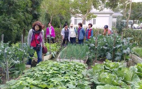鳳姊莊園民宿照片： 鳳姊莊園民宿