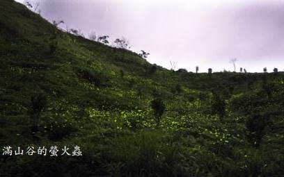 山雲花觀景民宿照片： 山雲花觀景民宿