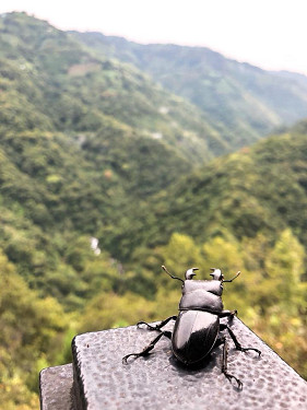 谷點咖啡民宿照片： 