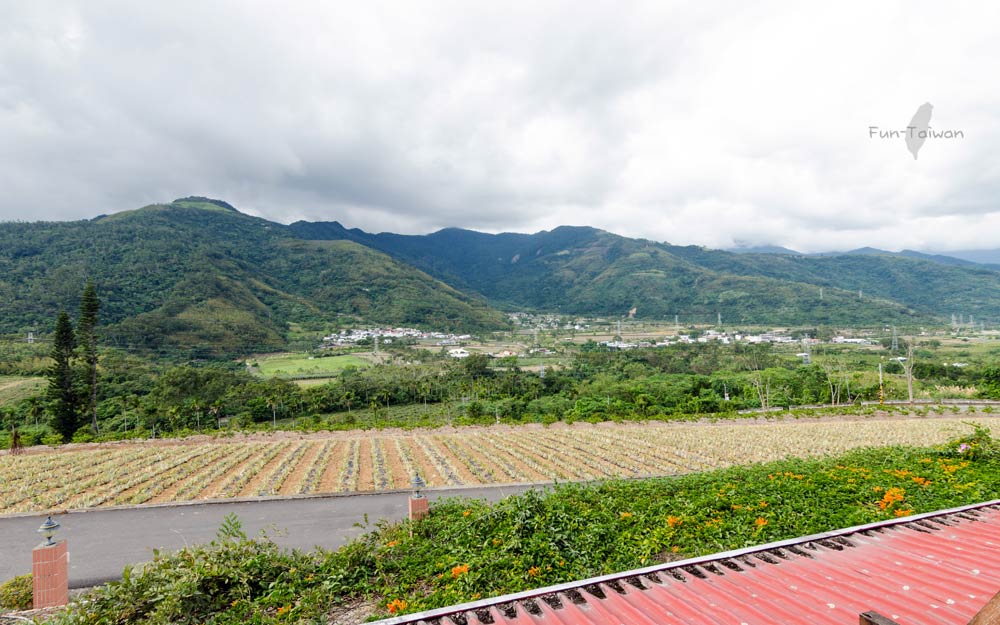 鹿野高台民宿照片： 