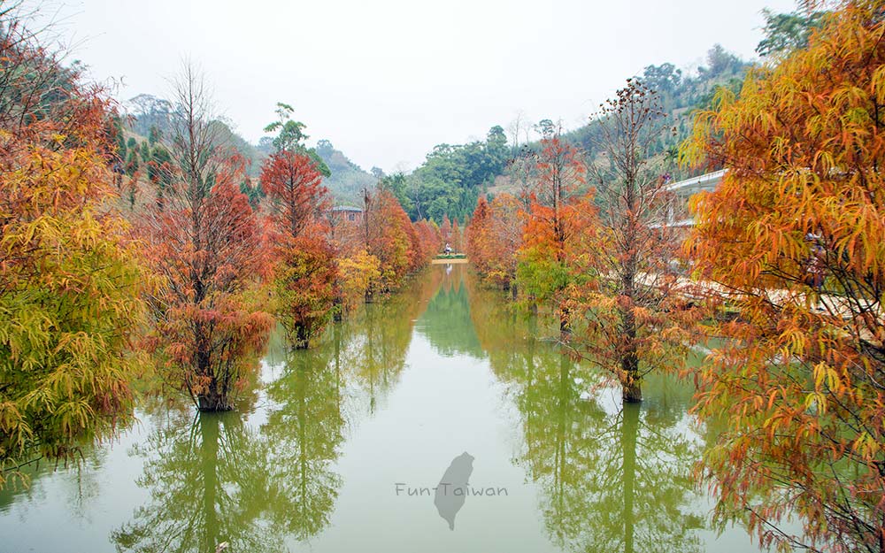 旦旦＋文旅照片： 720_6855