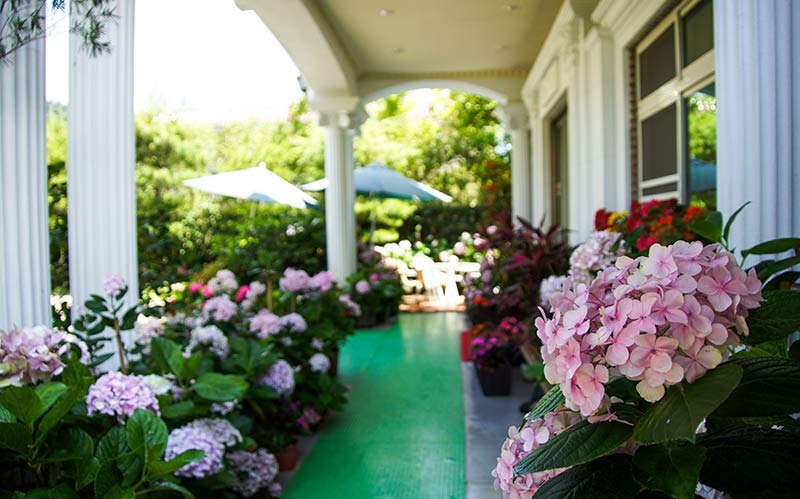 玉荷園休閒渡假山莊照片： 