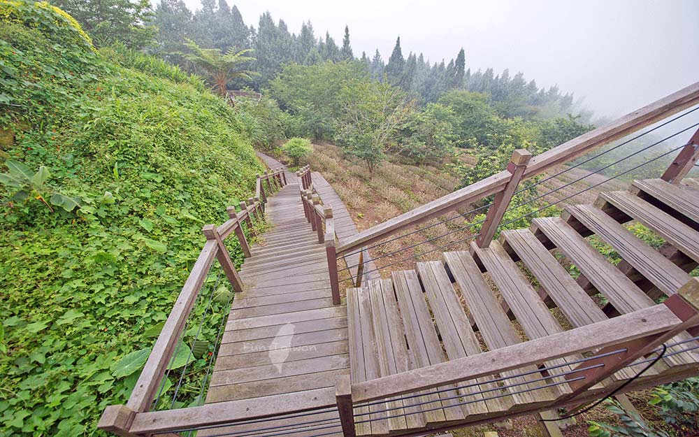 竺園山莊照片： 