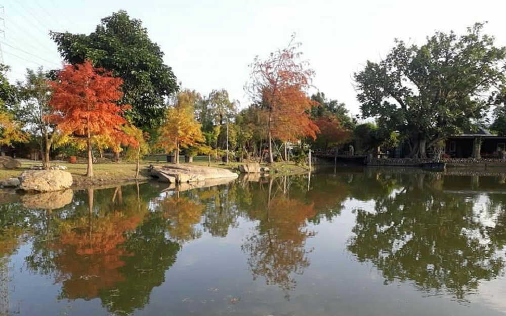 星湖森活照片： 
