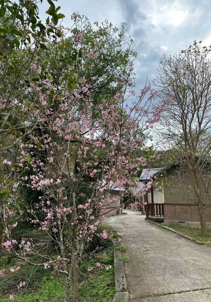 蓬萊生態農場仙山民宿照片： 