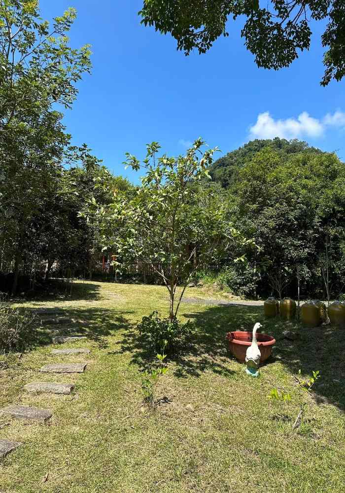 蓬萊生態農場仙山民宿照片： 