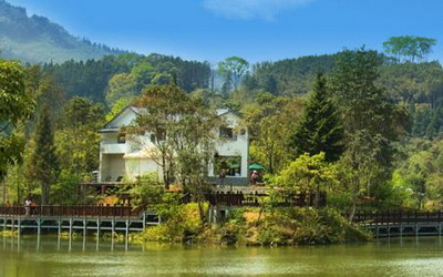 向天湖咖啡民宿 瘋台灣南庄民宿網