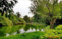 「大安森林公園」主要建物圖片