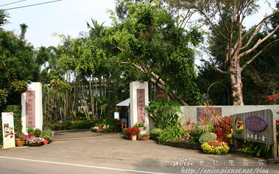 千樺花園