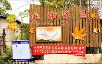 「楓林社區」主要建物圖片