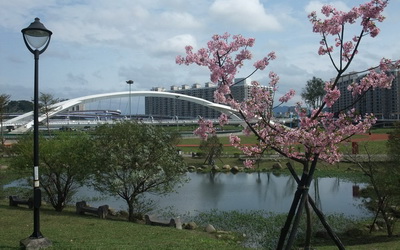 陽光運動公園