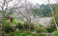 「高山青農場」主要建物圖片