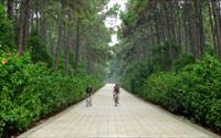 「中山紀念林」主要建物圖片
