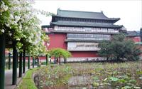「台北植物園」主要建物圖片