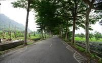 「龍田生態村」主要建物圖片