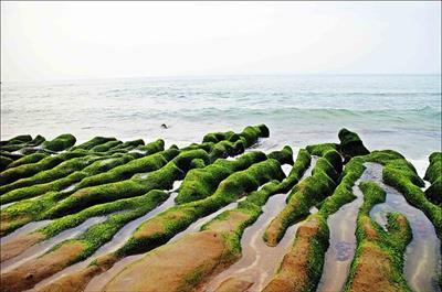 老梅綠石槽