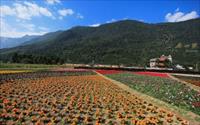 「花蓮新城彩虹花海」主要建物圖片