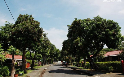 中興新村