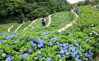 「大梯田花卉生態農園」主要建物圖片