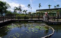 「舞鶴水土保持戶外教室」主要建物圖片