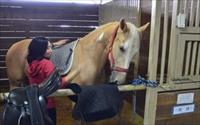 「噶馬蘭馬場」主要建物圖片