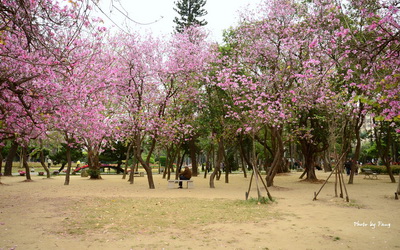 台南公園(中山公園)照片： CR=「Fang's blog~*」