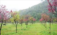 「崙埤村河濱公園」主要建物圖片