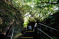 「山豬溝」主要建物圖片