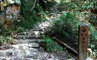 「東卯山登山步道」主要建物圖片